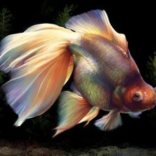 Cross stitch pattern: #621825