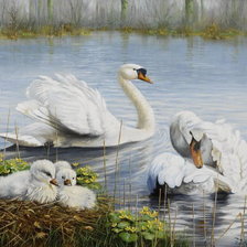 Cross stitch pattern: #622054