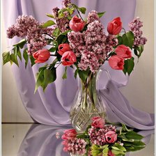 Cross stitch pattern: #622104