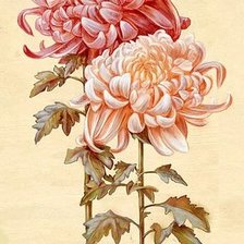 Cross stitch pattern: #622267