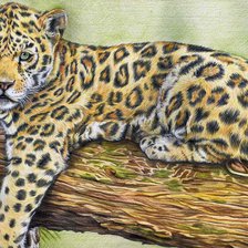 Cross stitch pattern: #622288