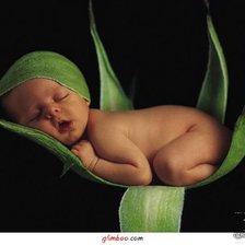 Cross stitch pattern: #622296
