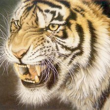 Cross stitch pattern: #622386