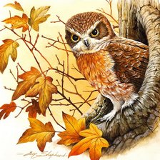 Cross stitch pattern: #622433