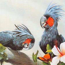 Cross stitch pattern: #622437