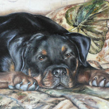 Cross stitch pattern: #623166