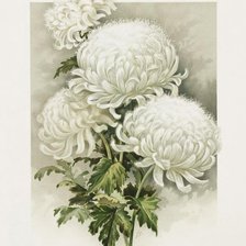Cross stitch pattern: #623255