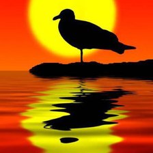 Cross stitch pattern: #623657