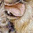 Preview of cross stitch pattern: #624029
