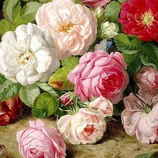 Cross stitch pattern: #624342