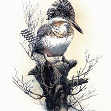 Cross stitch pattern: #625024