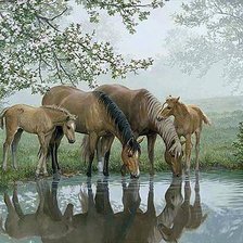 Cross stitch pattern: #625078