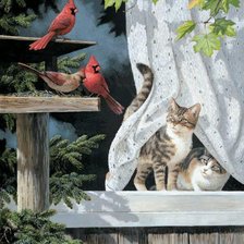Cross stitch pattern: #625095