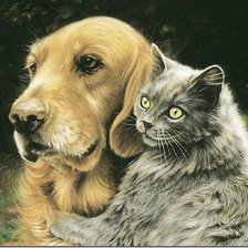 Cross stitch pattern: #625474