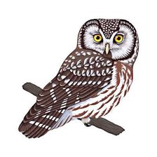 Cross stitch pattern: #625586