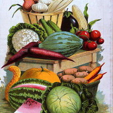 Cross stitch pattern: #625871
