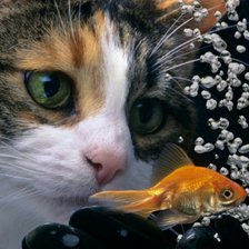 Cross stitch pattern: #626130