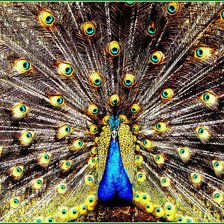 Cross stitch pattern: #626140