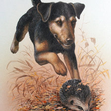 Cross stitch pattern: #626155