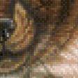 Preview of cross stitch pattern: #626164