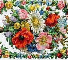 Cross stitch pattern: #626541