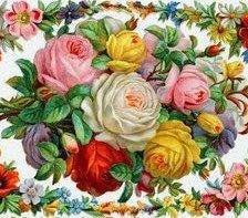 Cross stitch pattern: #626542
