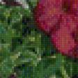 Preview of cross stitch pattern: #626699