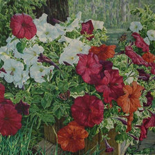 Cross stitch pattern: #626699