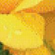 Preview of cross stitch pattern: #626704