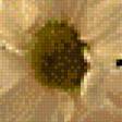 Preview of cross stitch pattern: #626706