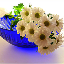 Cross stitch pattern: #626706