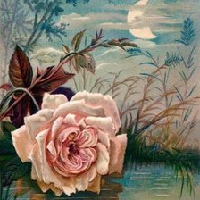 Cross stitch pattern: #627024