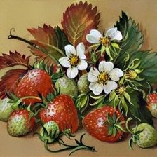 Cross stitch pattern: #627038