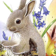 Cross stitch pattern: #627598