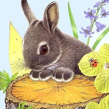 Cross stitch pattern: #627604