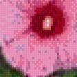 Preview of cross stitch pattern: #627706