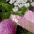 Preview of cross stitch pattern: #627708