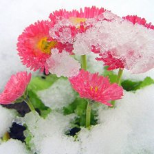Cross stitch pattern: #627710
