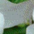 Preview of cross stitch pattern: #627711