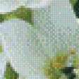 Preview of cross stitch pattern: #627712