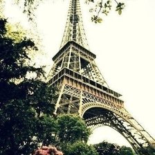 Cross stitch pattern: #627897