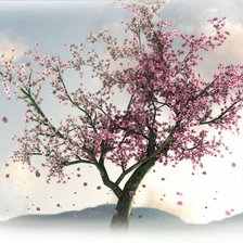 Cross stitch pattern: #627901