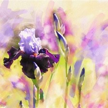 Cross stitch pattern: #628846