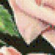 Preview of cross stitch pattern: #629149