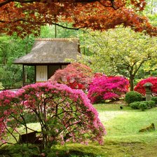 Cross stitch pattern: #629150