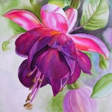 Cross stitch pattern: #629417