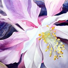 Cross stitch pattern: #629642