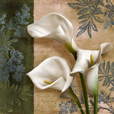 Cross stitch pattern: #629858