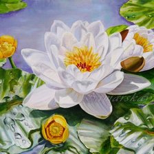 Cross stitch pattern: #629872