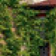 Preview of cross stitch pattern: #630607